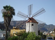 typische kanarische Windmühle 