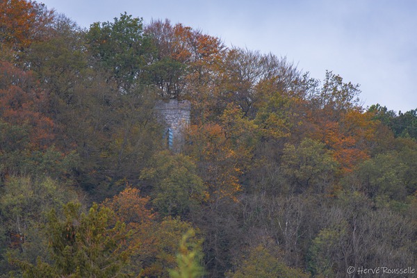 Rou-her-0224