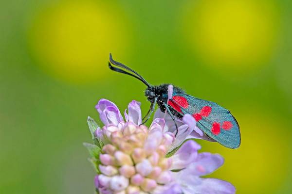 Oog-joh-0218