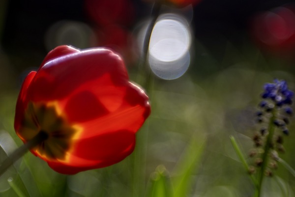 Oog-joh-0826