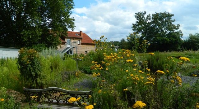 Der Kräutergarten mit Blick auf das Haus an den Salzwiesen. (Foto: Corinnna Willführ)