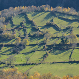 Journées Nationales de l'archéologie - Le Vallon du Brousset autrement