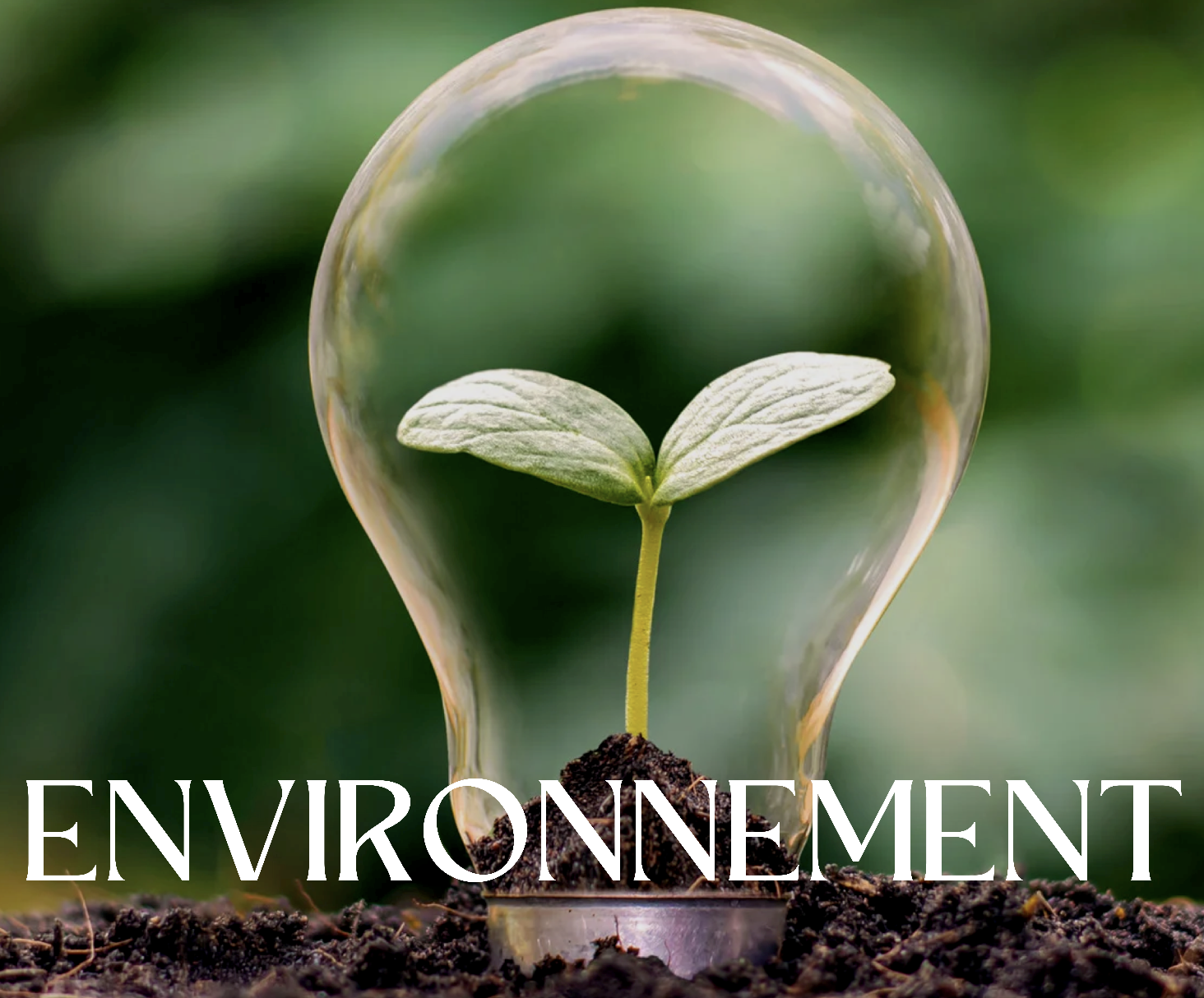 Environnement