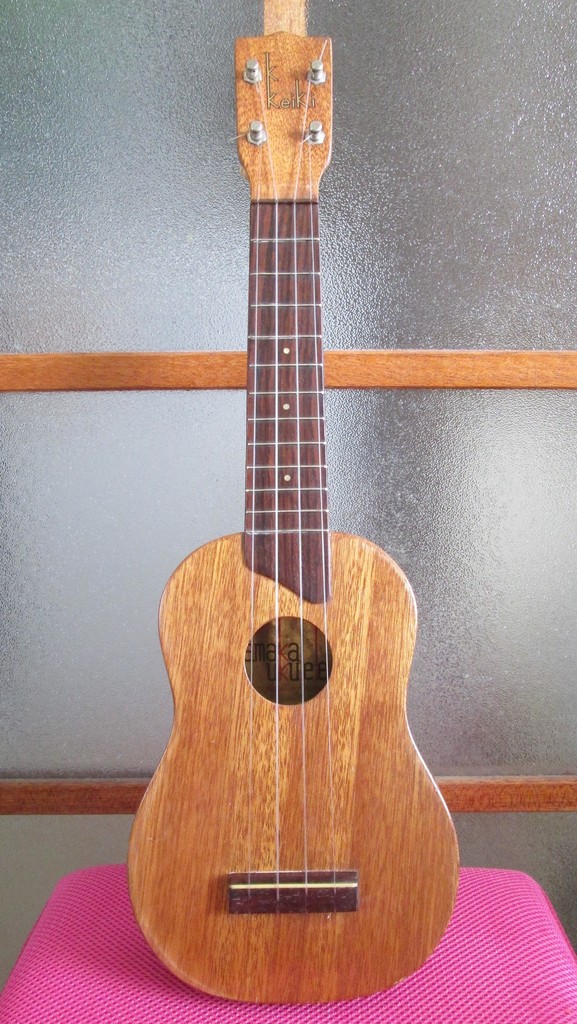 ウクレレ写真館 yanoukuleleisland ページ！