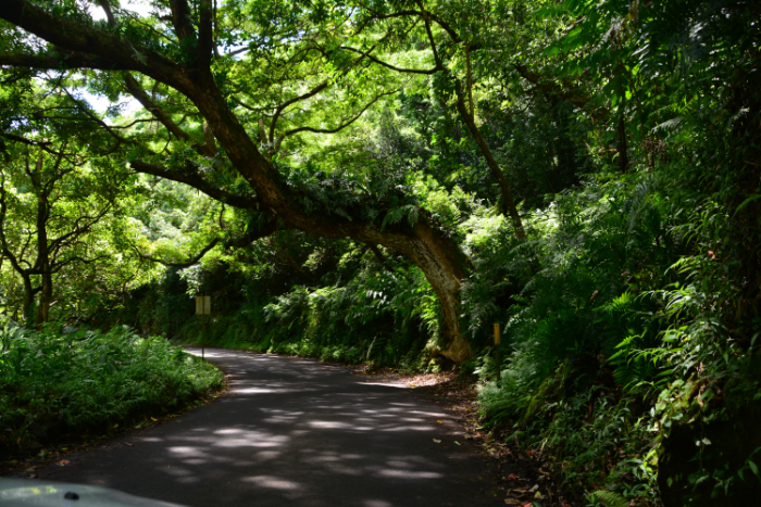 Road to Hana