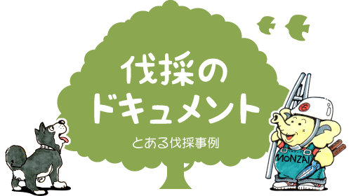 キンモクセイ（金木犀）の伐採・撤去ドキュメント【門西造園｜浜松市】