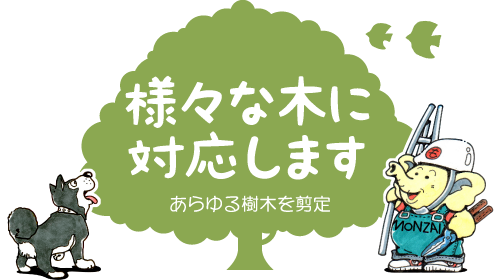 様々な木に対応します。あらゆる庭木や植木、生垣や垣根の剪定・お手入れ・肥料やり・害虫対策（消毒）等。