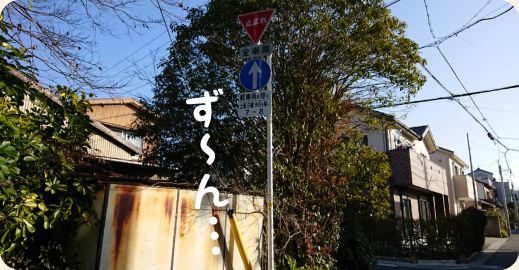 庭木の伐採 撤去 処分 浜松 湖西 磐田 豊橋 門西造園 庭木の伐採 撤去 処分 浜松 湖西 磐田 豊橋 門西造園