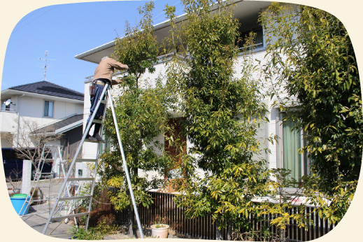 一般住宅のお庭の植木の剪定・お手入れ【門西造園】浜松・湖西・磐田・豊橋