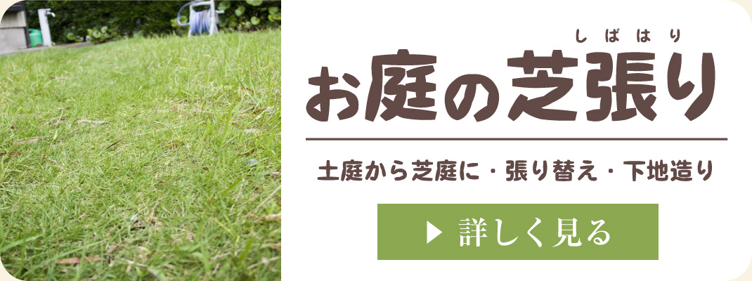 庭の芝生張り（土庭から芝生のお庭に。荒れた芝生の張り替え工事）｜浜松・湖西・磐田・豊橋