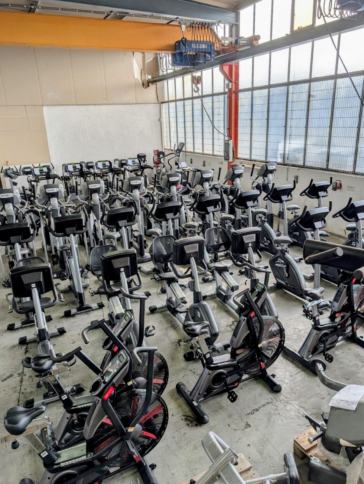 Cardio Gerätepark
