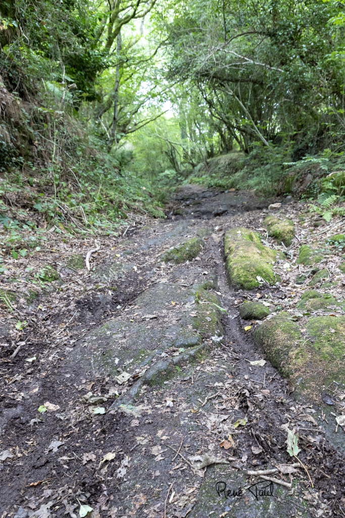 Trédudon Le Moine chemin Charretier