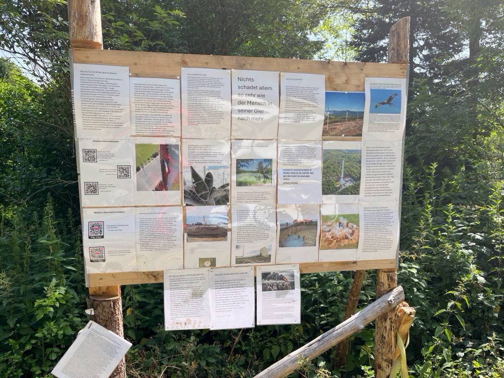 Hinweisschild im Wald von Dachsenhausen