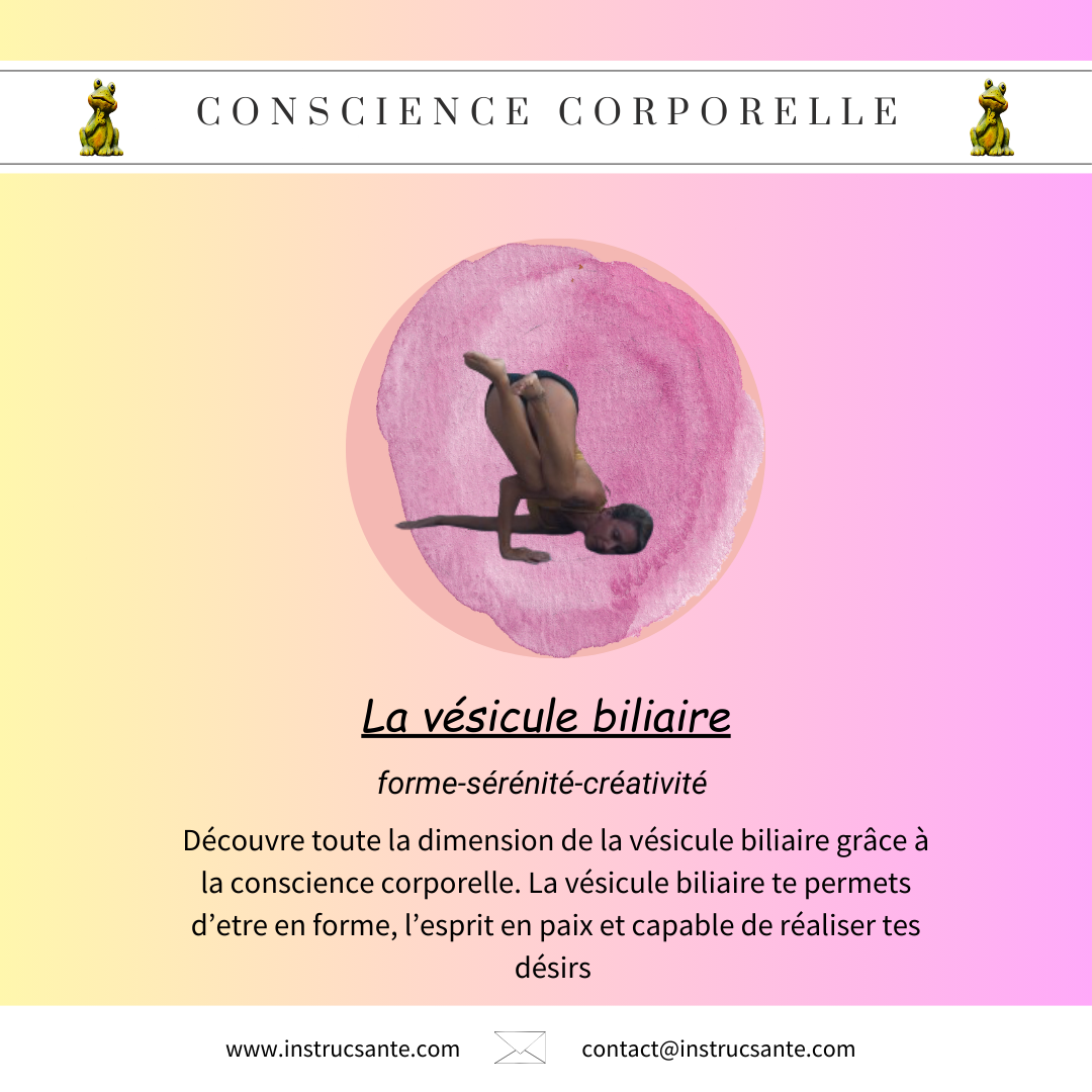 Comprendre les liens de la vésicule biliaire avec le quotidien grâce à la microkiné.