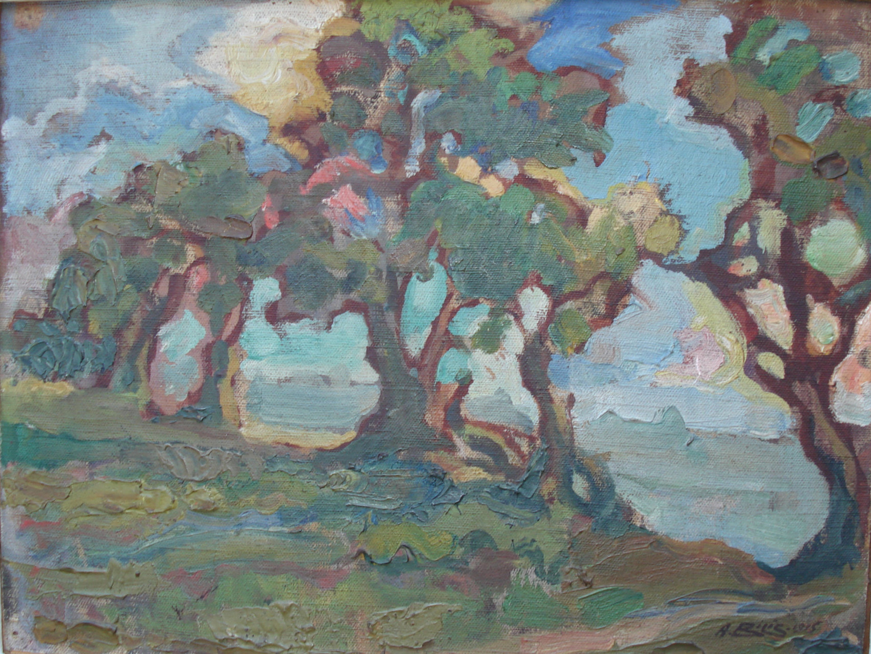 Paysage Montevidéo - Urugay 1915 26x34 huile sur toile  André Aaron Blils