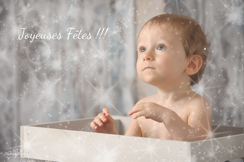 Joyeuses fêtes MD photographies 2015