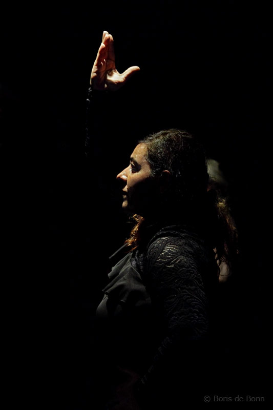 Flamenco-Tänzerin (Bailaora) Rosa Martinez on stage
