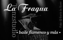 Logo Tanzstudio La Fragua /SW-Foto by Boris de Bonn
