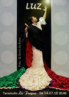 Titelfoto zur Flamenco-Tanzaufführung "LUZ" am 1407.18 im Tanzstudio La Fragua/Color-Foto by Boris de Bonn