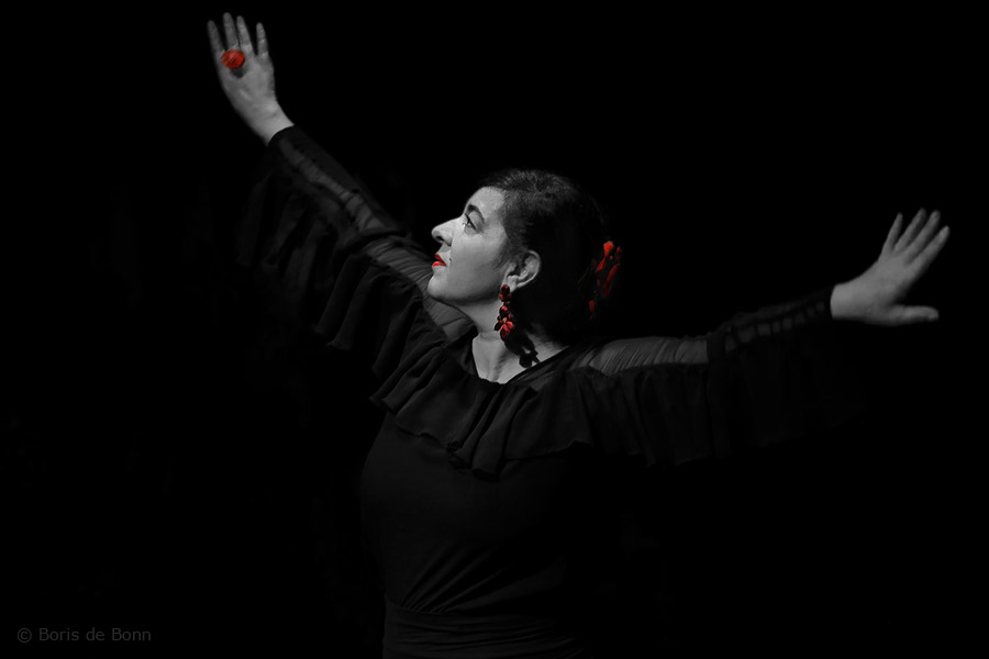 Flamenco-Tänzerin (Bailaora) Rosa Martinez on stage