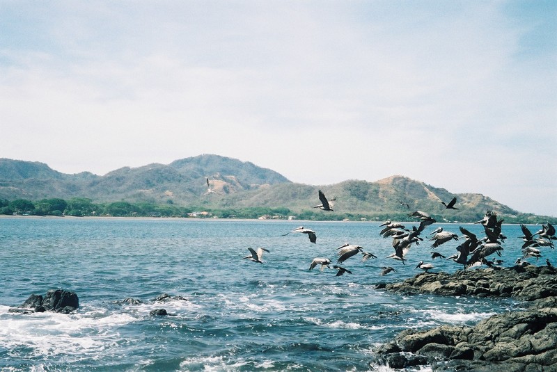 Aimer c'est toucher les ailes des oiseaux