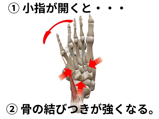 足のアーチを落とさない。扁平足の改善