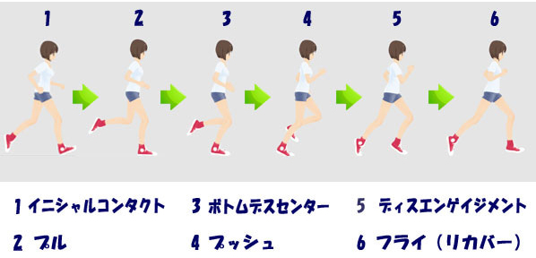 ランニング周期