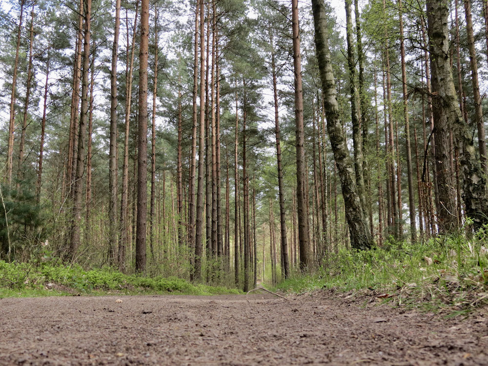 Überall Ruhe und Naturgeräusche 