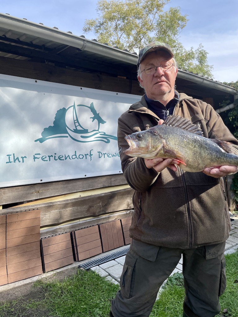 Barsch angeln, Angelurlaub MV, Mecklenburger Seenplatte