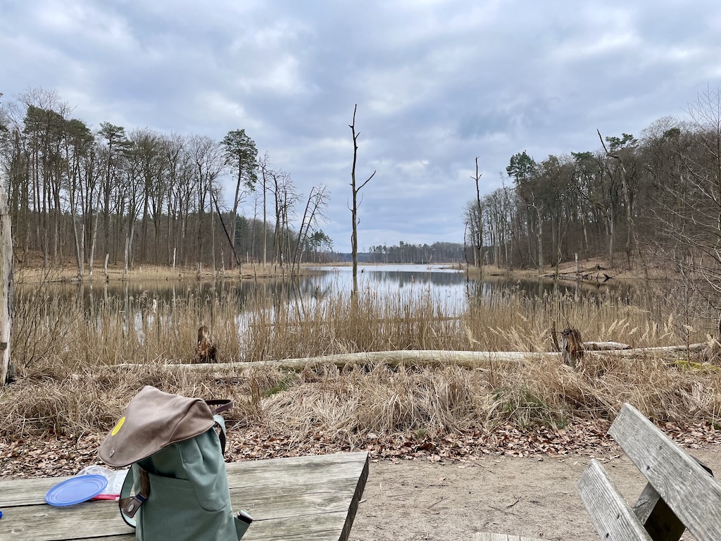 Rast am Schweingartensee