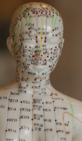 Kopf des Menschen mit Akupunkturpunkten
