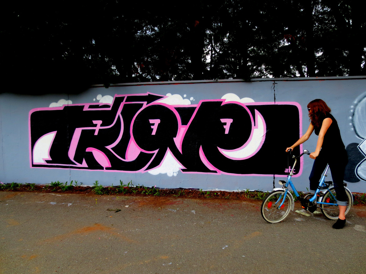 TRINE, Darmstadt 2013