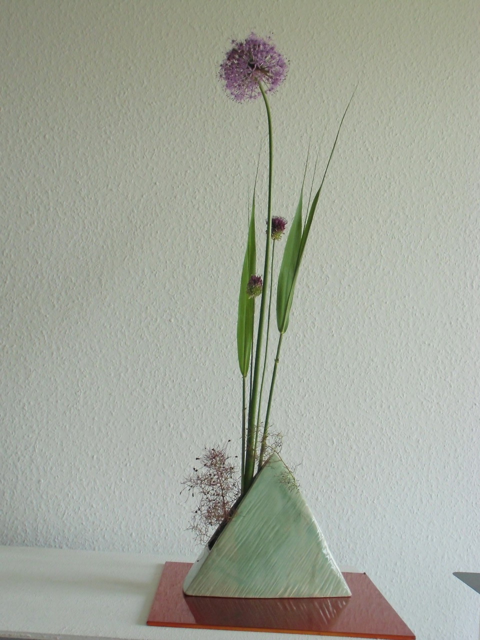 Alium mit Perückenstrauch 