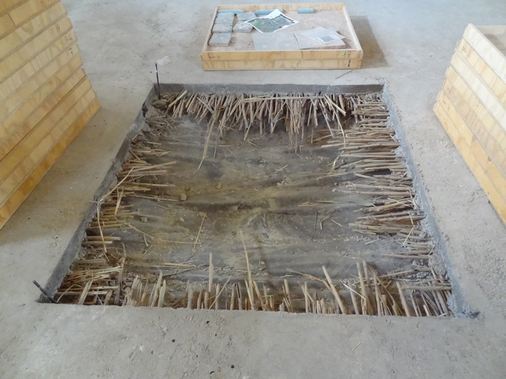 Vue du puisard avant le début des travaux. Le plastique et les joncss ont parfaitement visibles sous le béton (Socra, 2013)