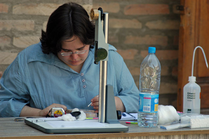 Céline Ollagnier en train d'examiner un échantillon de céramique glaçurée timouride du Musée amir Temur de Shahrisabz (photo : M.Schvoerer, 2008)