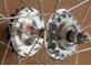 BICI SINGLE SPEED: mozzo posteriore con doppio pignone per scattofisso e ruota libera
