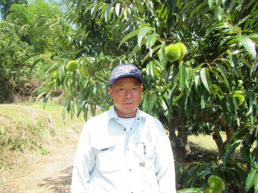 生産履歴（山本政照）