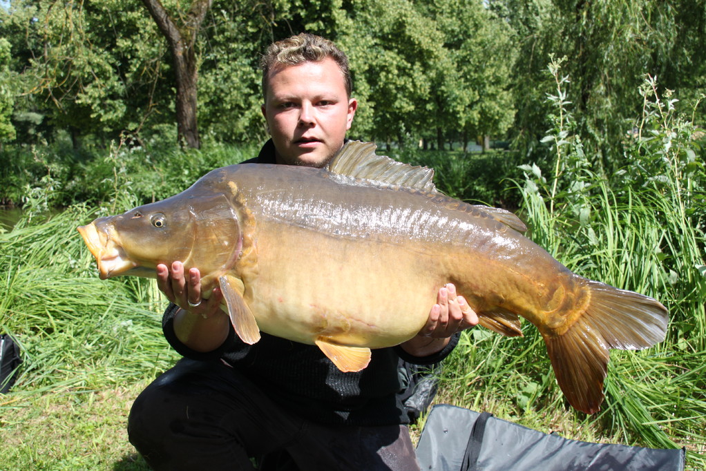 Sehr schöner Spiegelkarpfen aus dem Ringkanal, gefangen von Michael Elsner.1,00 Meter und 19,5 Kg.