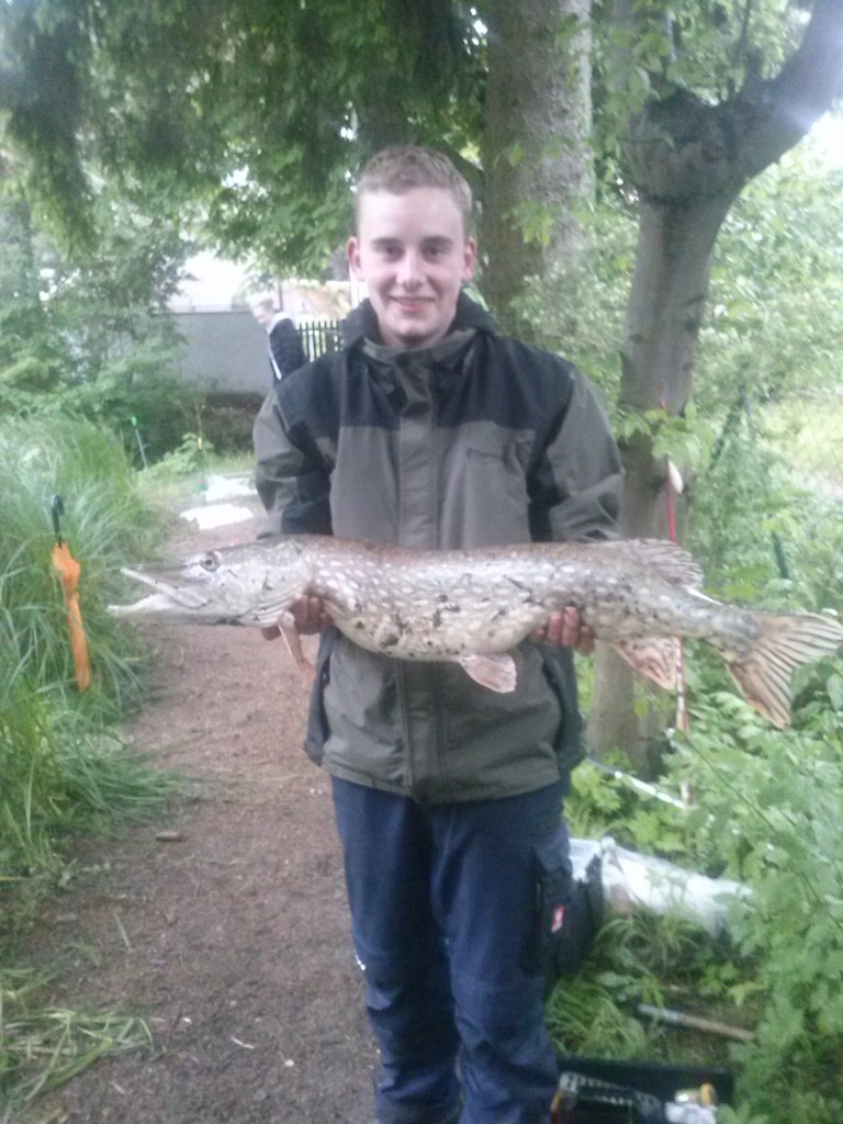 Gefangen von Markus Z. beim Lehrfischen der Jugend am Pechweiher. 90cm und 5,3 Kg 