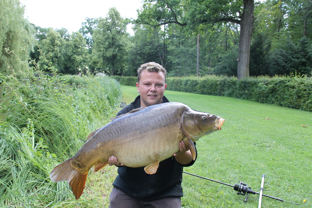 Sehr schöner Spiegelkarpfen aus dem Ringkanal, gefangen von Michael Elsner.1,00 Meter und 19,5 Kg.