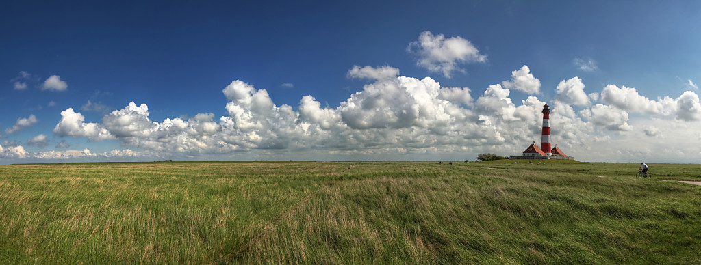 Mai - Nationalpark Wattenmeer - Westerheever Sand - Platz 2