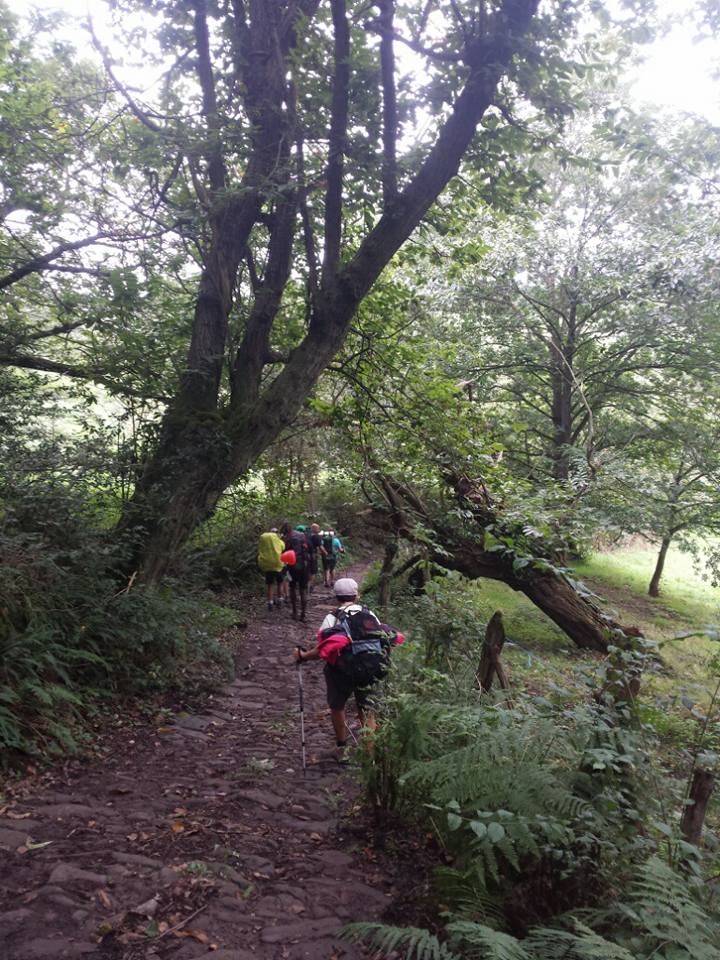 Le Sentier Oviedo  . Les Deux Tours En Streaming Vf A Travers La Terre Du Milieu, Aragorn, Legolas Et Gimli Font Route Vers Le Rohan, Le Royaume Assiégé De Theoden.