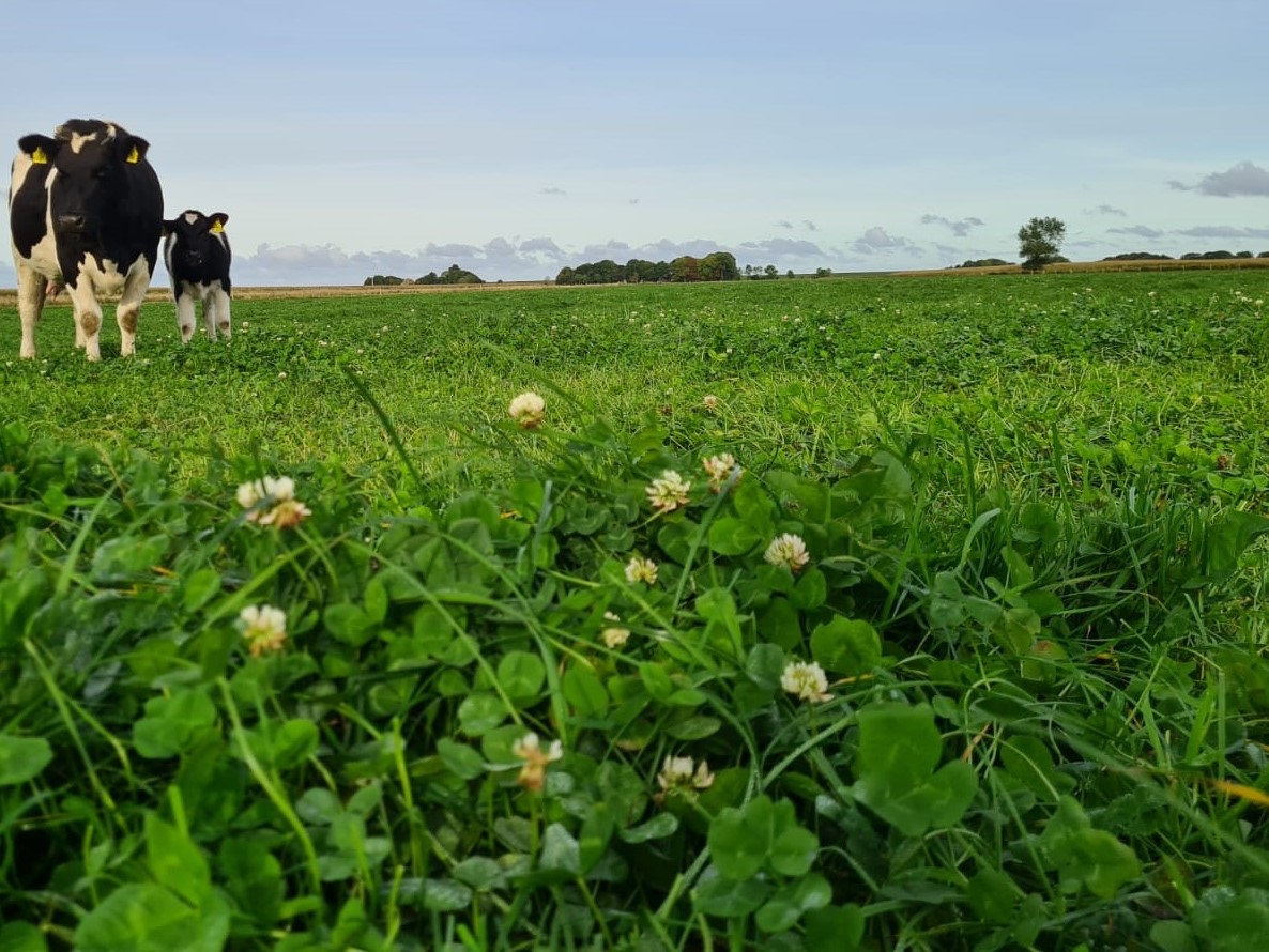 Kontakt - DSW Öko- Landwirtschaft aber natürlich