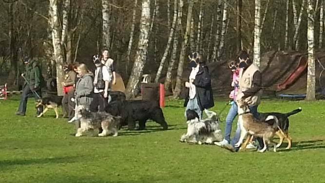 Obedience: Frauchen geht meißtens ganz gut "FUSS", ...