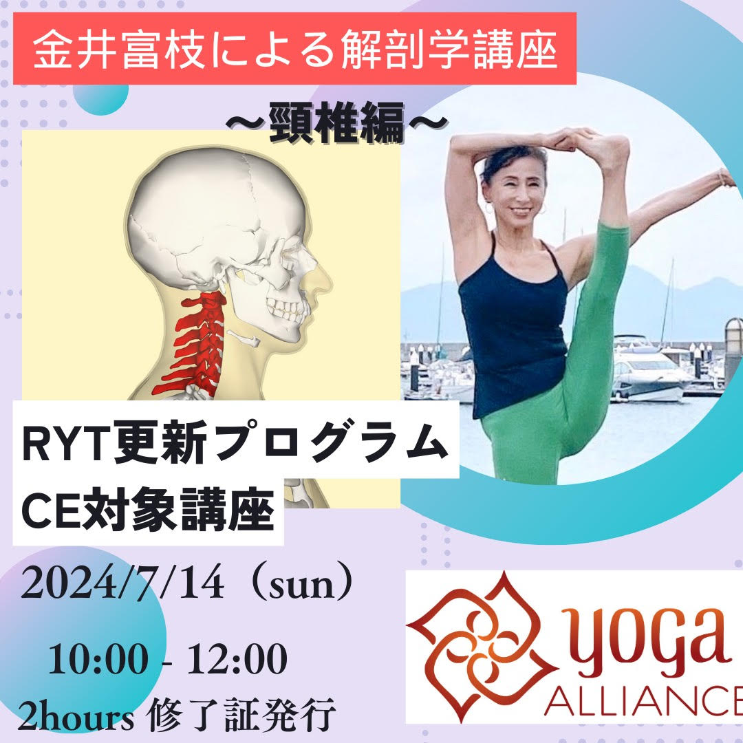 金井富枝の解剖学シリーズ～頸椎編～RYT継続学習CE対象講座　     ワークショップ