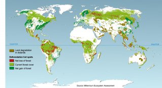 Carte de déforestation (Source Millenium EcoSystem Assessment) 