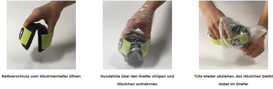 Foto: Hund17