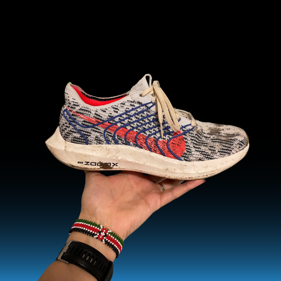 Nike Zoom X Pegasus Turbo next Nature