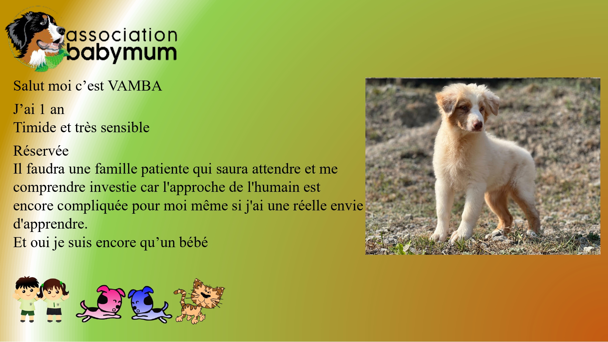 A L'ADOPTION