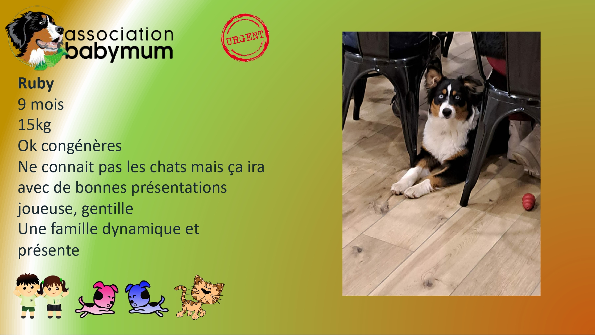 ADOPTEE LE 13/05/2026